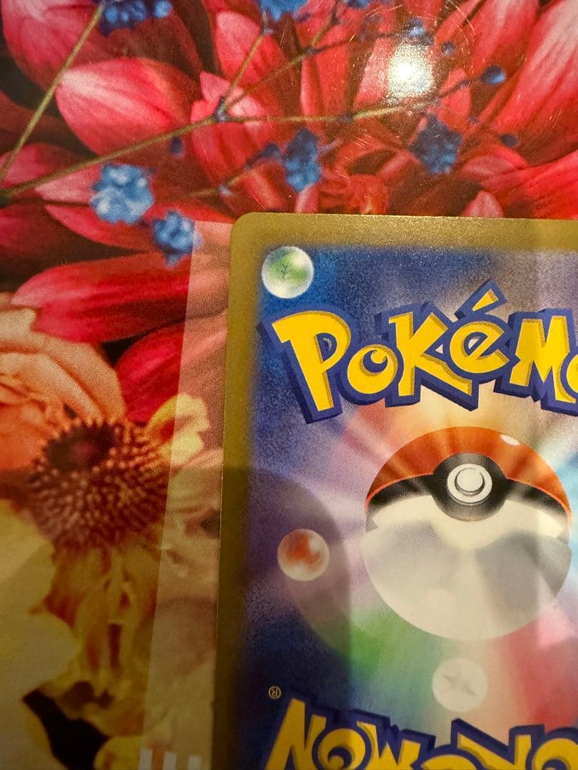 【美品】 ポケモンカードメガリザードンXex SAR 110/080