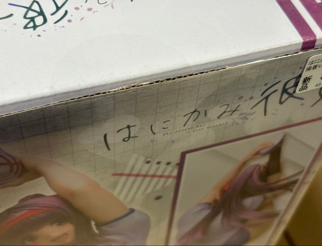 はにかみ彼女 志津城ねる 体操着Ver. FREEing