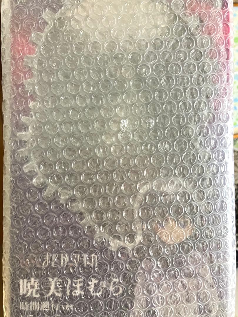 魔法少女まどか☆マギカ 暁美ほむら 時間遡行 フィギュア