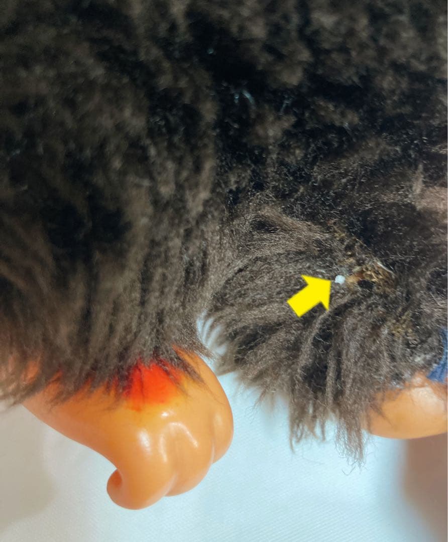 まごころ人形　大助くん　モンチッチ