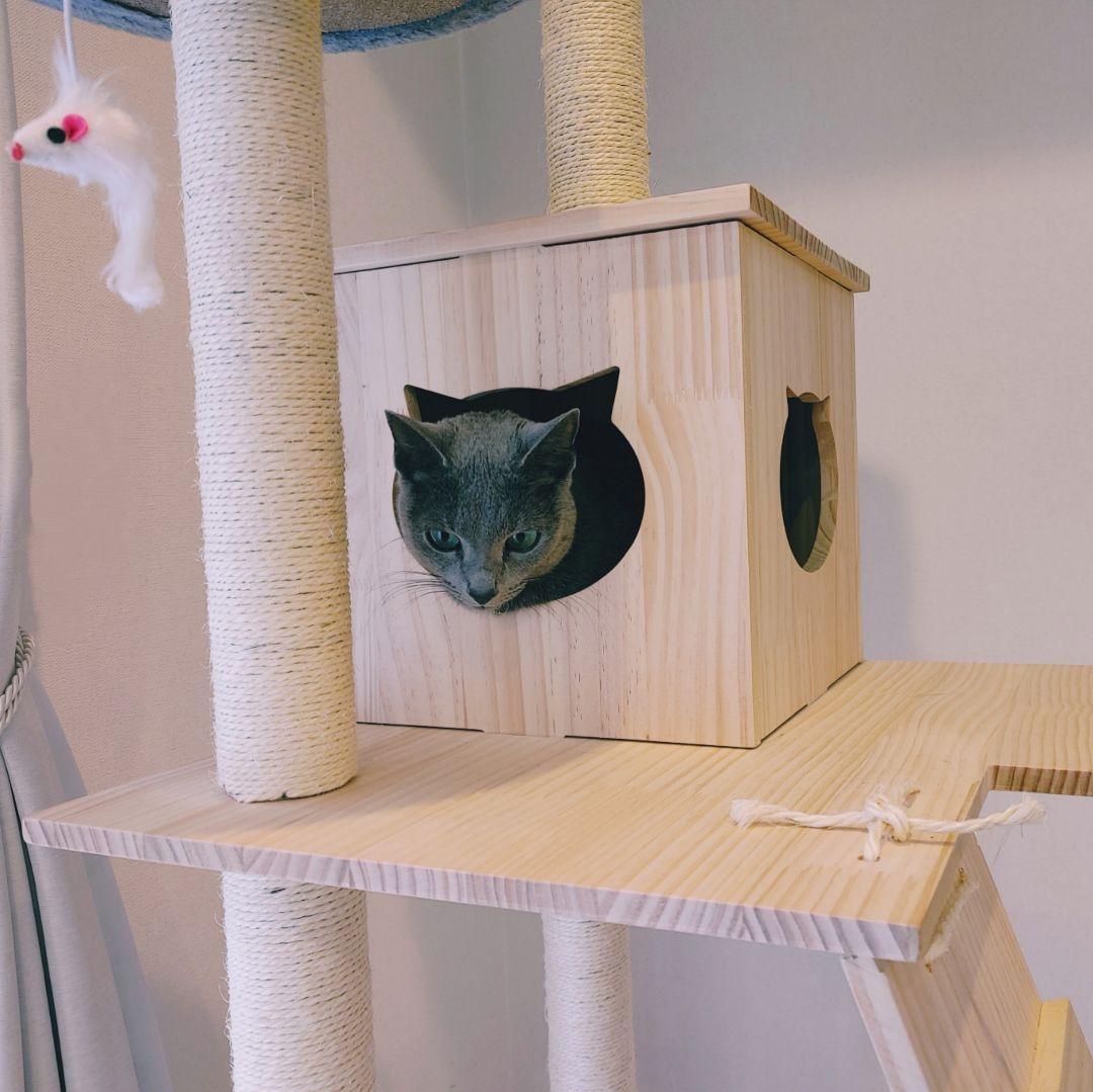 キャットタワー(限定品)新品 未使用品
