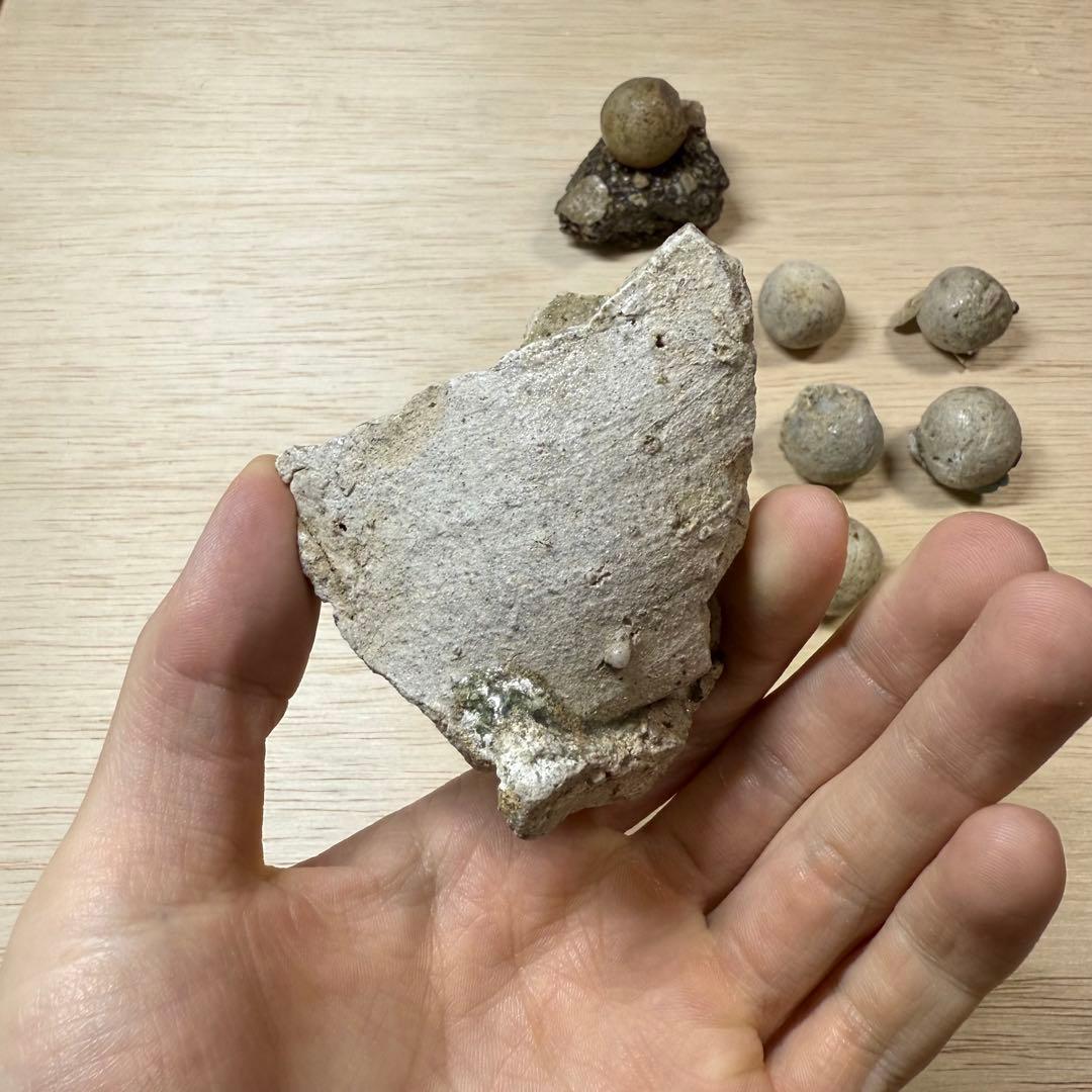 古瀬戸 陶丸 鎌倉時代 室町時代 陶片 発掘品 古常滑 古美濃 古美術 骨董品