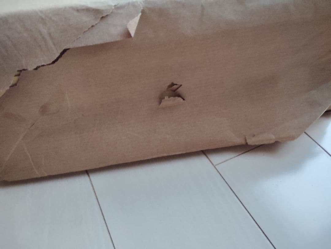 長期保存 毛辺2000枚