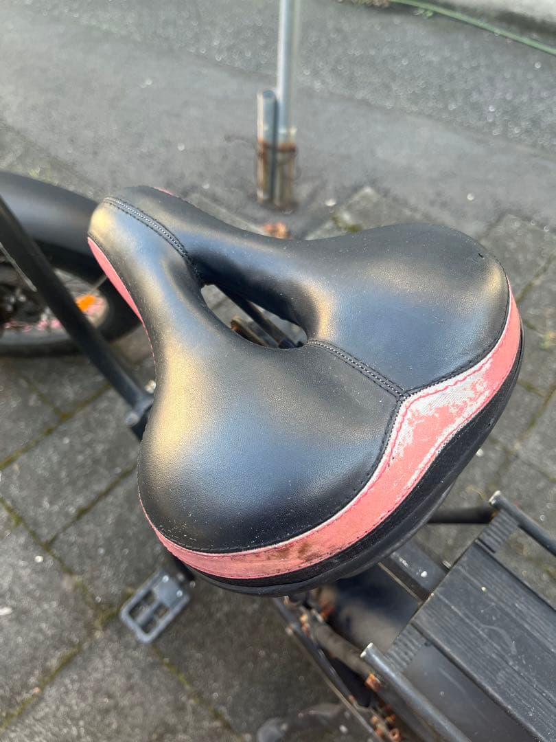 公道走行可 G-CRUISER20 折りたたみ電動自転車 20インチ