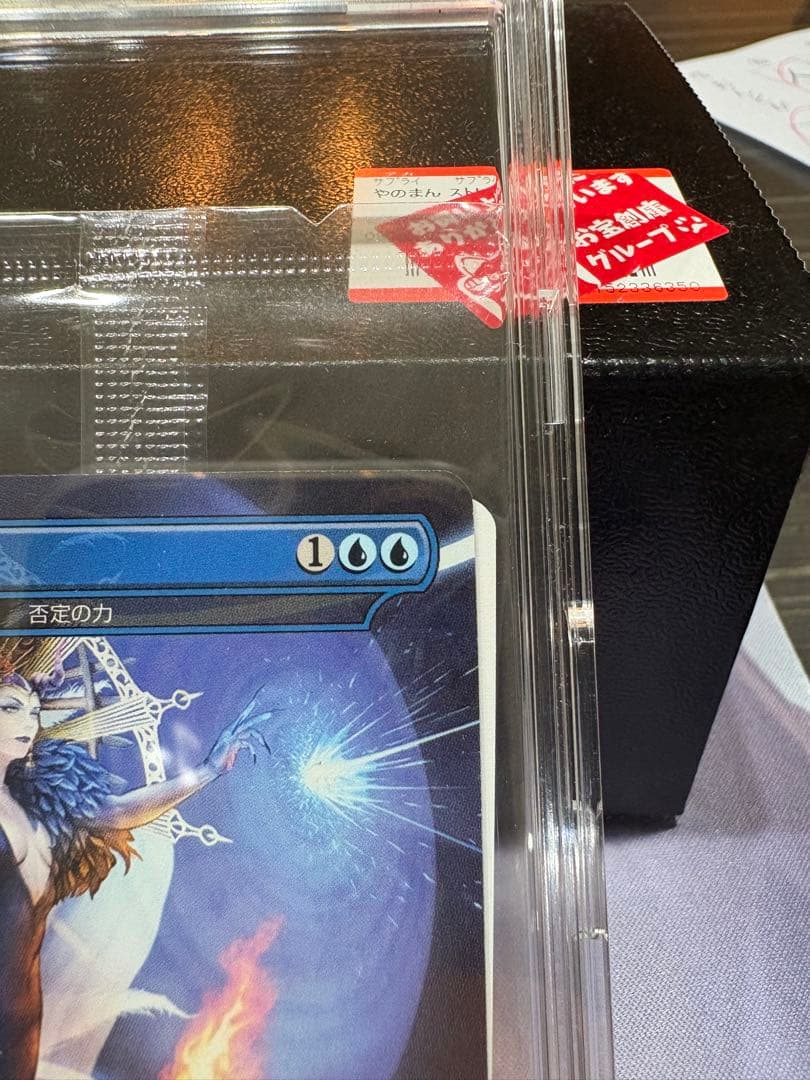 MTG 魔女の予見　未開封品