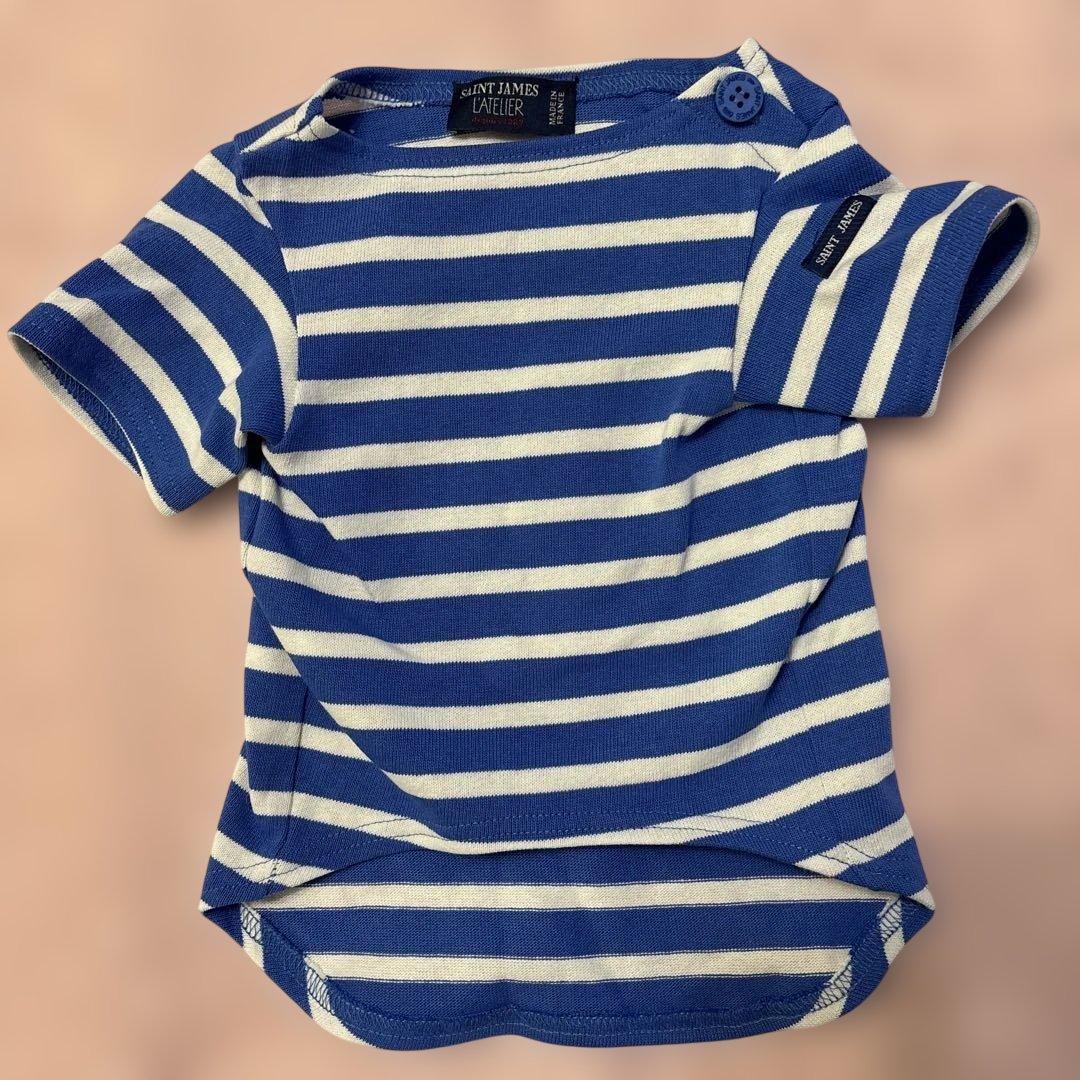 【日本未入荷】セントジェームス 犬服 L 関西万博フランス館パビリオン限定