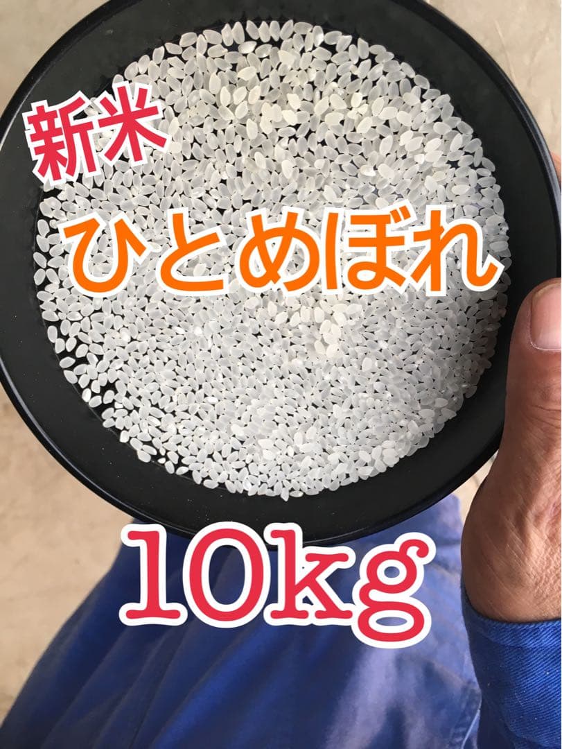 送料込み！令和7年9月新米ひとめぼれ　埼玉県熊谷産　専業農家　白米10キロ　中米