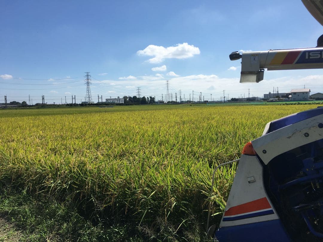 送料込み！令和7年9月新米ひとめぼれ　埼玉県熊谷産　専業農家　白米10キロ　中米