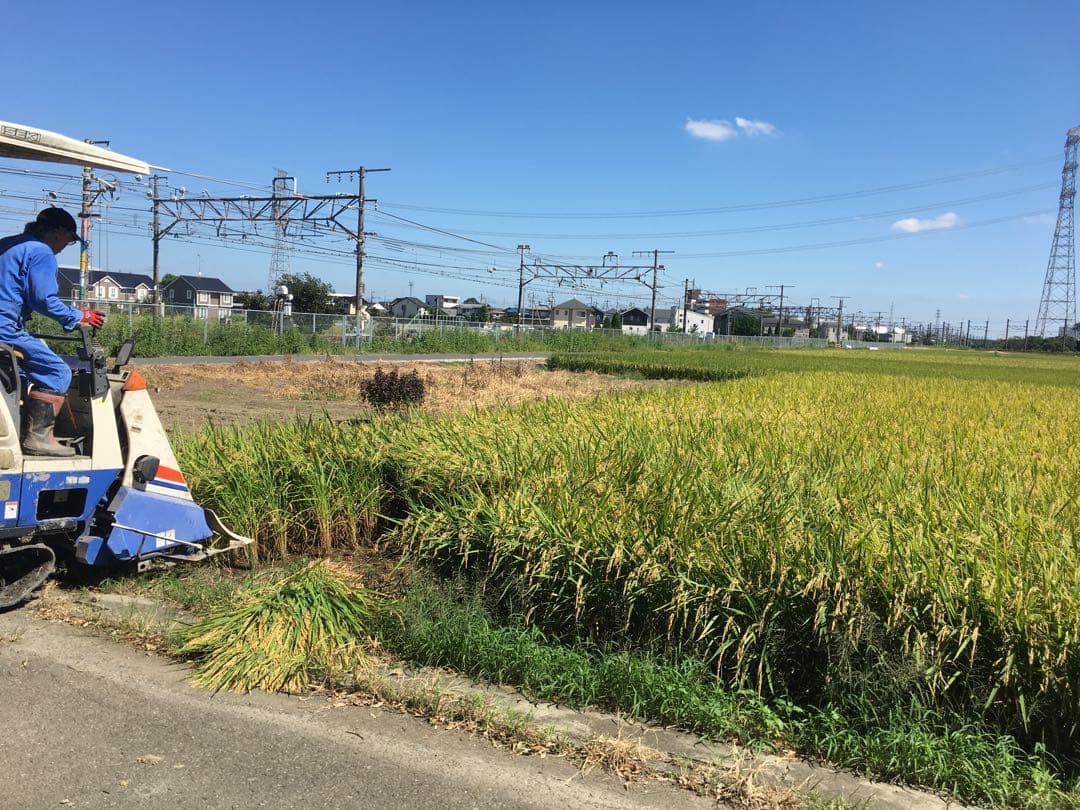 送料込み！令和7年9月新米ひとめぼれ　埼玉県熊谷産　専業農家　白米10キロ　中米