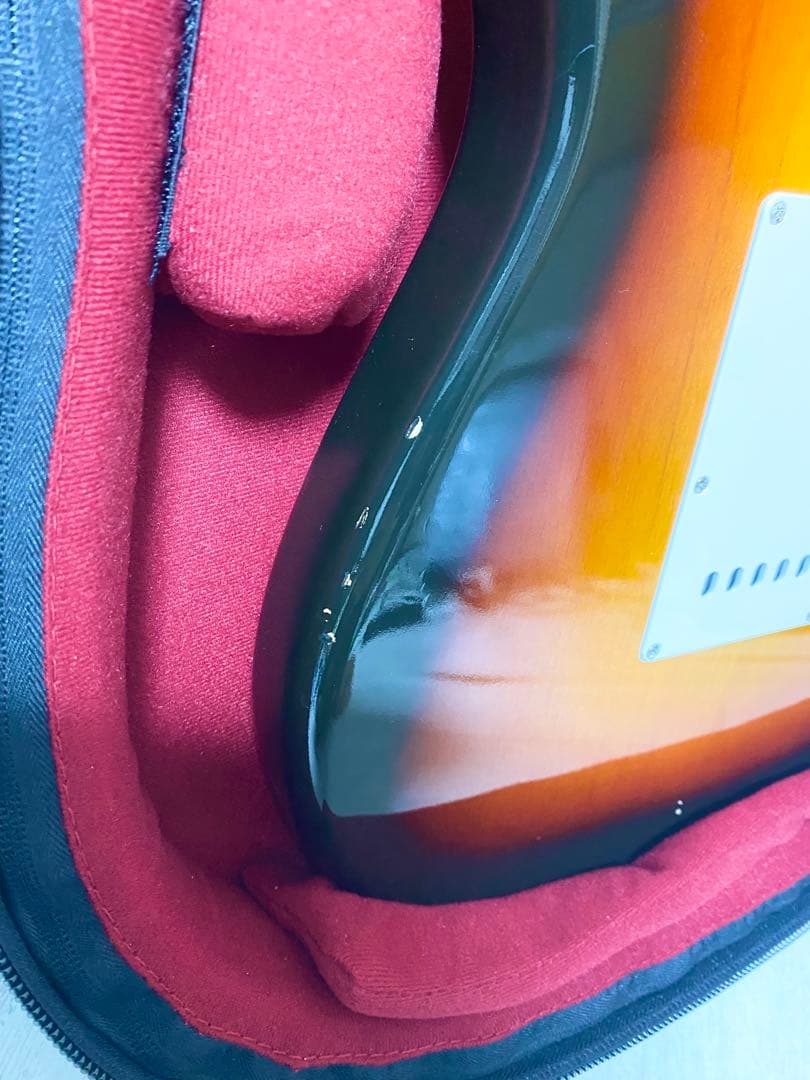 VanZandt STV-R2 3TS ストラトキャスター ソフトケース付き