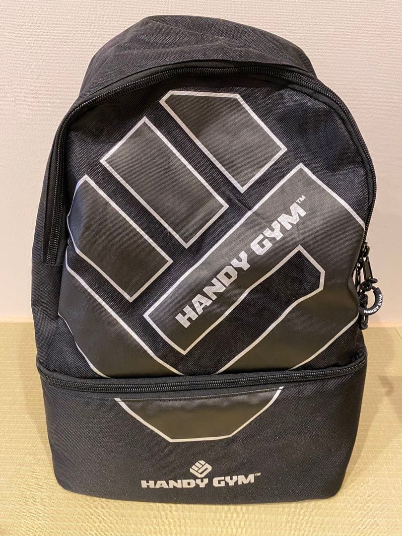 【美品】Handy Gym Proモデル｜定価198,000円