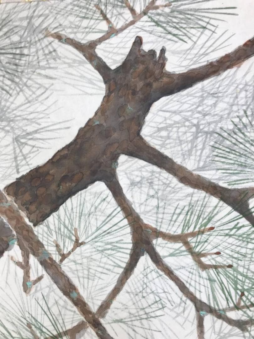 真作/松歳/八幡鳩図/松に鳩図/鳥図/八幡神社/八幡神使/名家伝来/AE-97