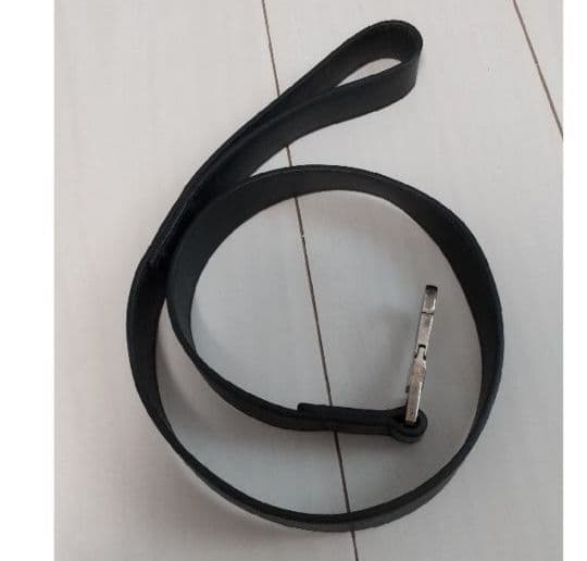 ちゅら　GUCCI 犬 首輪