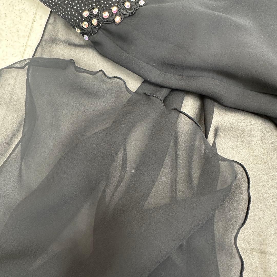 【チャコット】マーカス＆カレン ヒルトン 社交ダンス ドレス 装飾 日本製