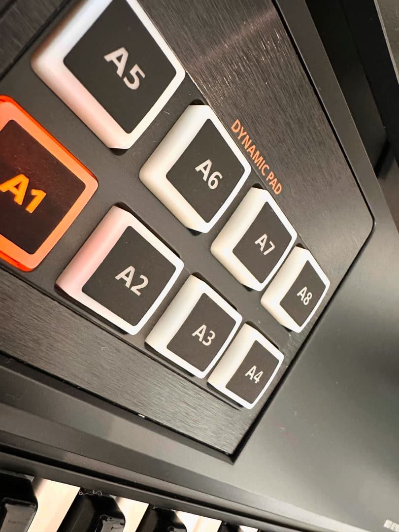 ☆希少品☆ Roland A-800PRO MIDIキーボード 付属品あり！