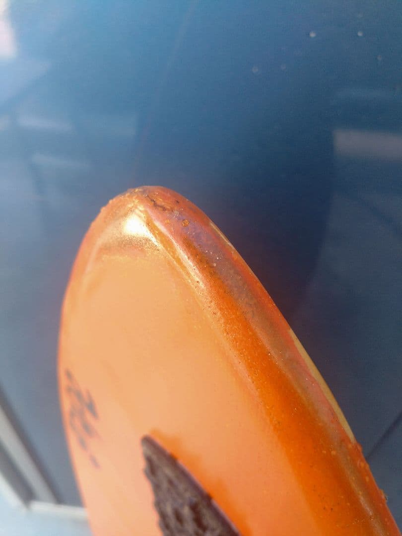 【すっちょいさ】スキムボード　グレープ