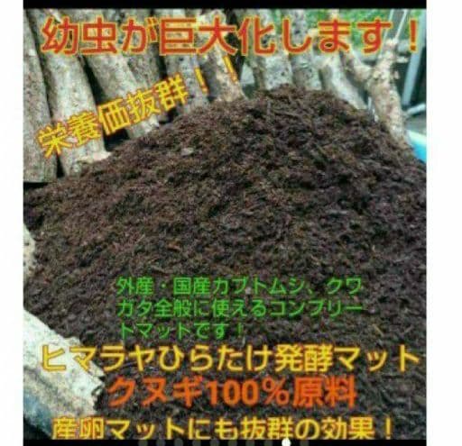 送料無料！80リットル　カブトムシ幼虫の餌！巨大化！ヒマラヤひらたけ発酵マット