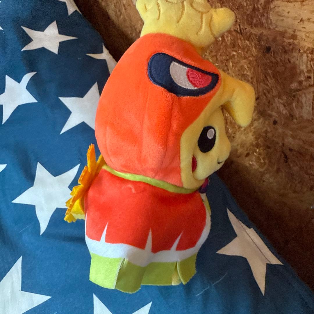 ポンチョピカチュウホウオウタグ無し