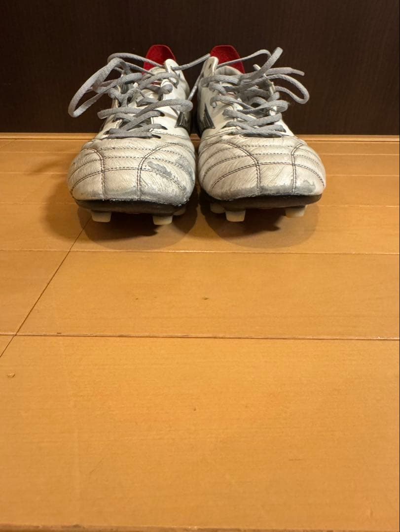 ミズノ　モレリアネオ4