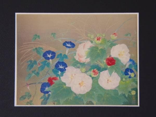 森田りえ子、【白露】、希少な額装用画集より、新品額装付