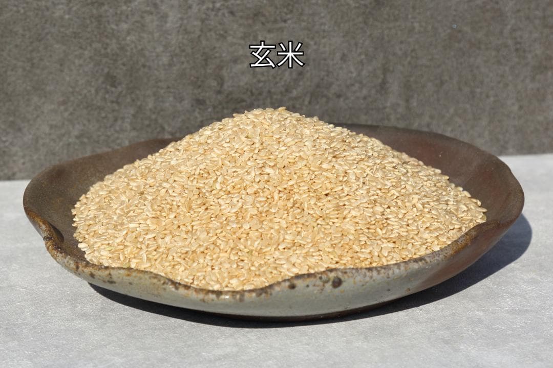 お米 農林8号 玄米10kg｜農薬不使用・肥料不使用｜自然栽培米