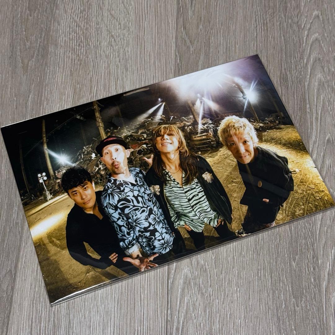 SUPER BEAVER パネル