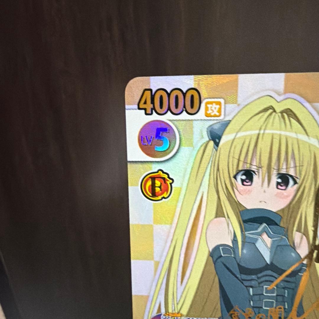 金曜日までの出品　ヴィクトリースパーク　toloveる　ヤミ　サイン