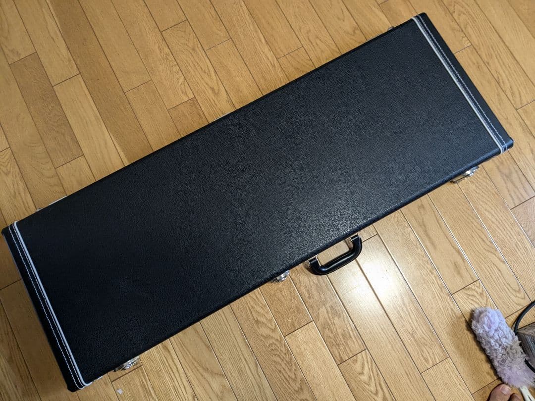 FUJIGEN FGN フジゲン EOS アッシュ セイモアダンカン搭載