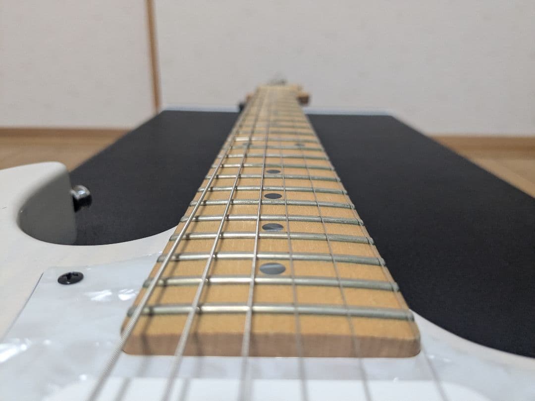 FUJIGEN FGN フジゲン EOS アッシュ セイモアダンカン搭載