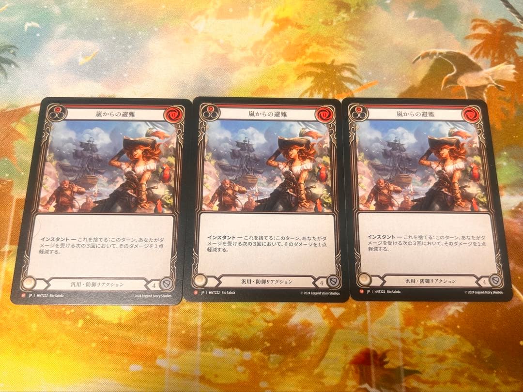 嵐からの避難 / Shelter from the Storm 3枚