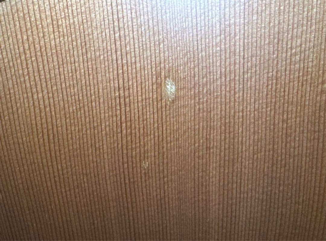 g*o様 Morris S-60 アコースティックギター モーリス　エレアコ