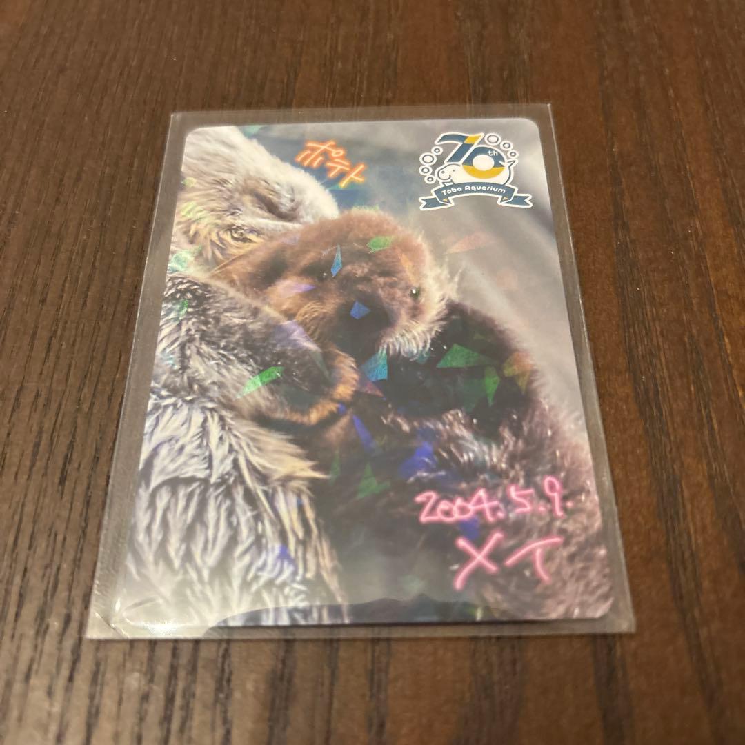 鳥羽水族館　コレクションカード　メイ（レアカード）　ラッコ　赤ちゃん