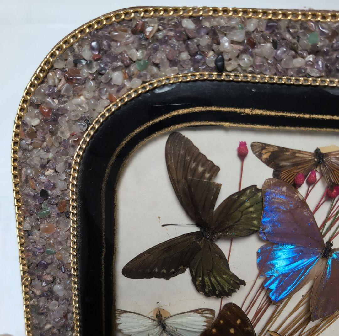 ブラジル 工芸品 蝶の標本 装飾石付きフレーム