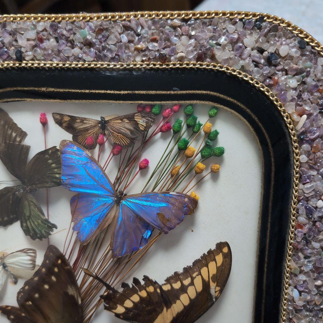 ブラジル 工芸品 蝶の標本 装飾石付きフレーム