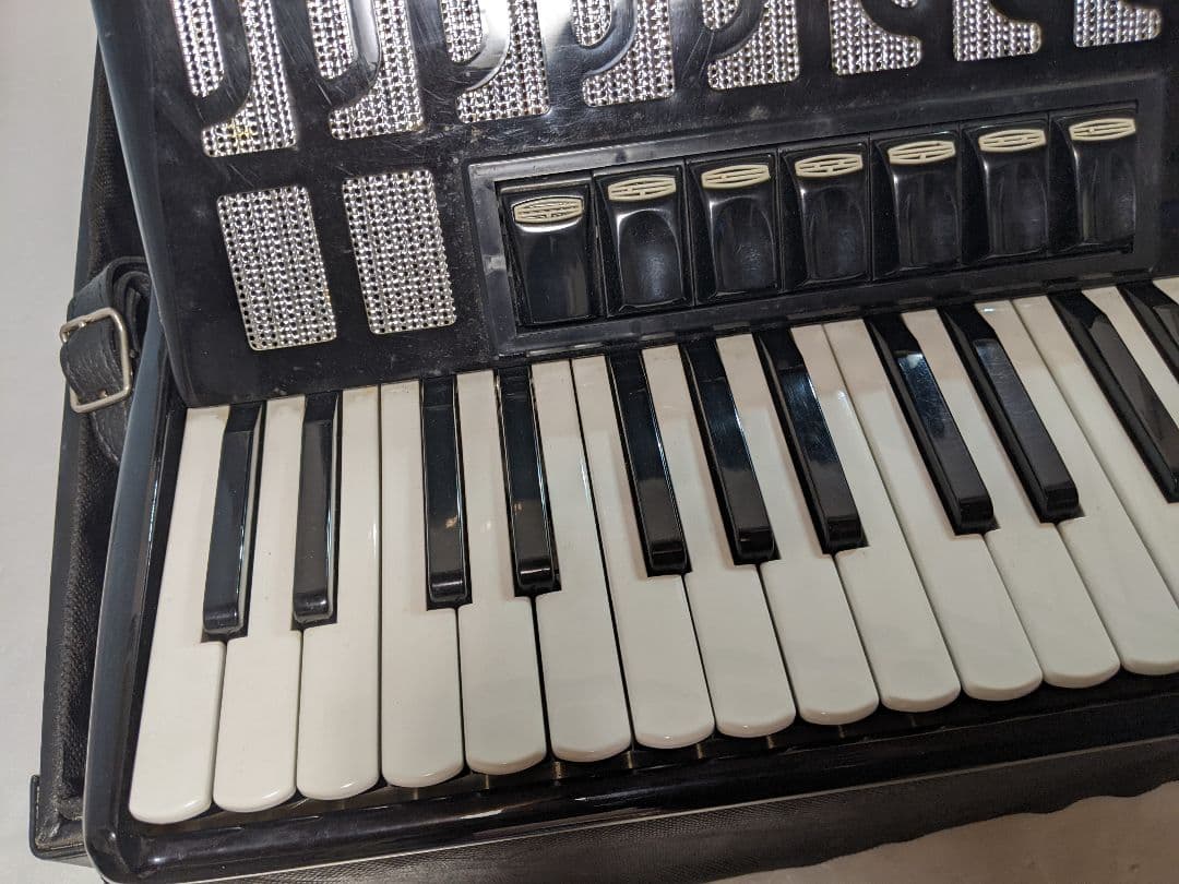 TOMBO トンボ アコーディオン J-48 Accordion ハードケース付