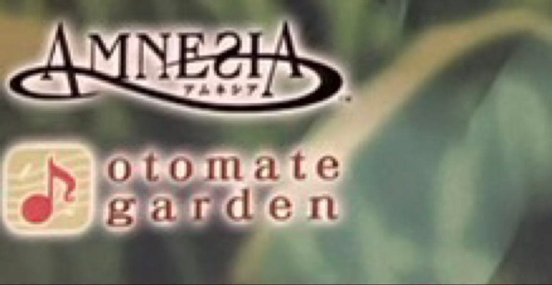 【激レア】アムネシア、ウキョウ、オトメイトガーデン、展示パネル