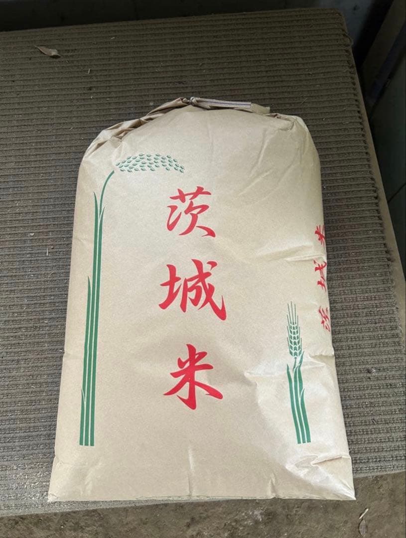 令和7年 茨城県産 コシヒカリ 茨城米 玄米 10kg