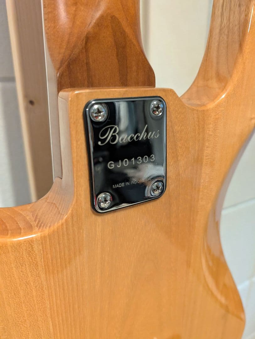 Bacchus WL5　バッカス　五弦ベース