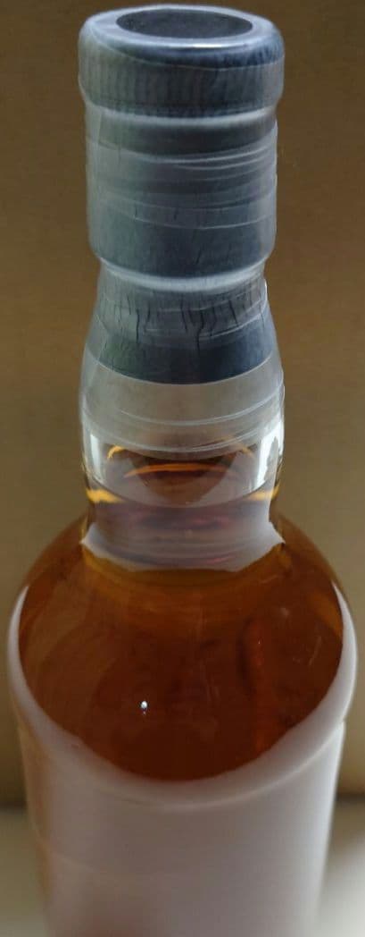 ベンネヴィス1998-2024 25年 for Bar Rubin’s-vase