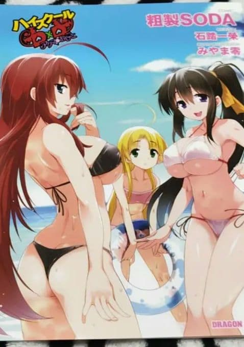 ハイスクールD×D アクマのおしごと ブックカバー NOT FOR SALE