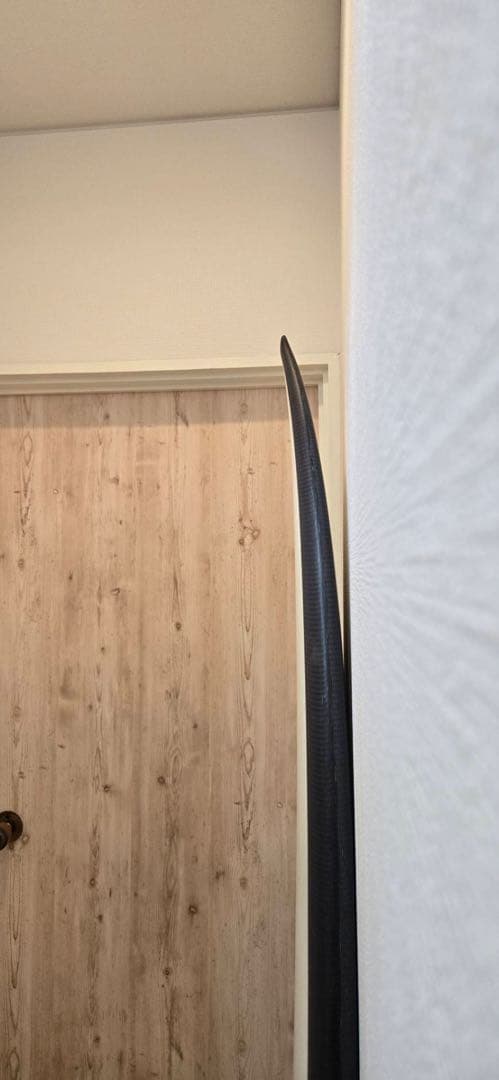 HAYDENSHAPES ヘイデンシェイプス ヒプトクリプト ツイン フィッシュ