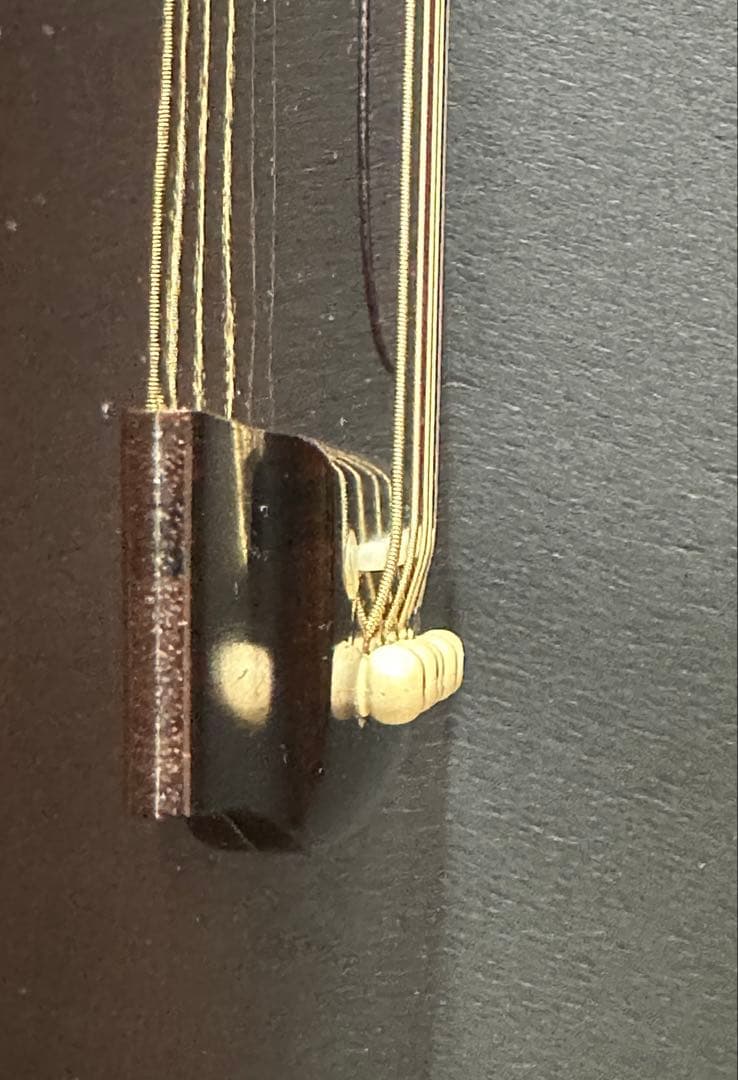 Takamine PT-05E タカミネ　大滝詠一使用モデル