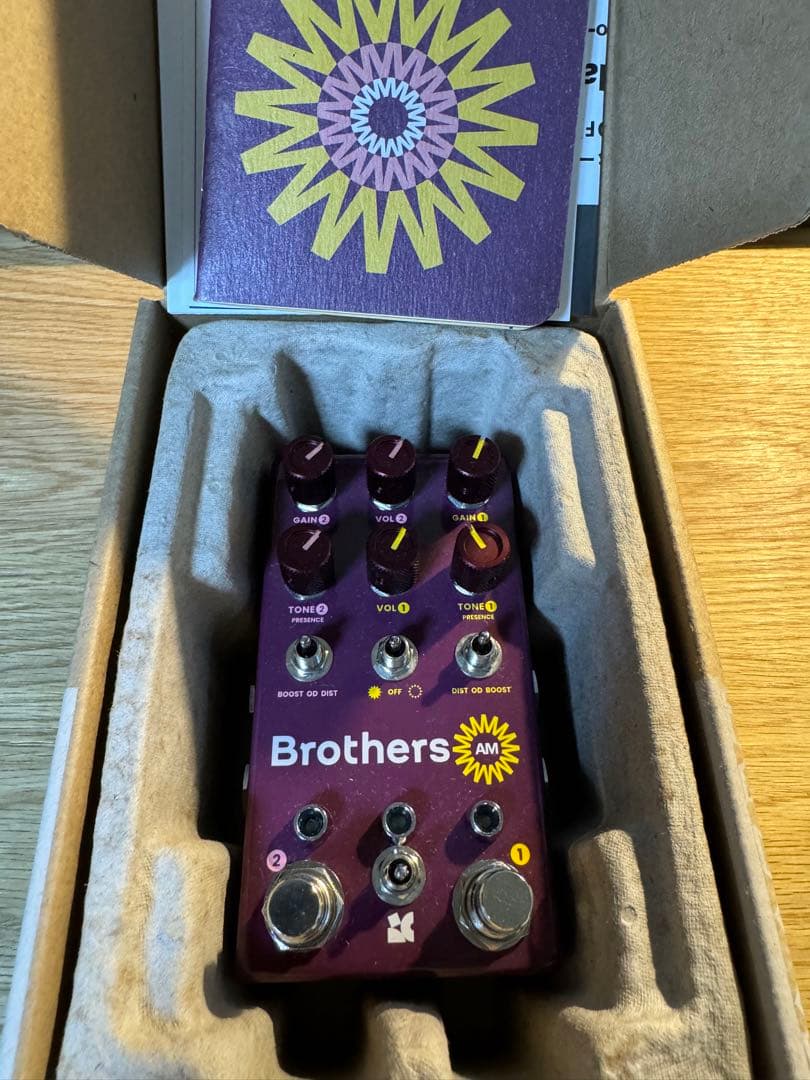 ギター Chase Bliss Audio Brothers AM