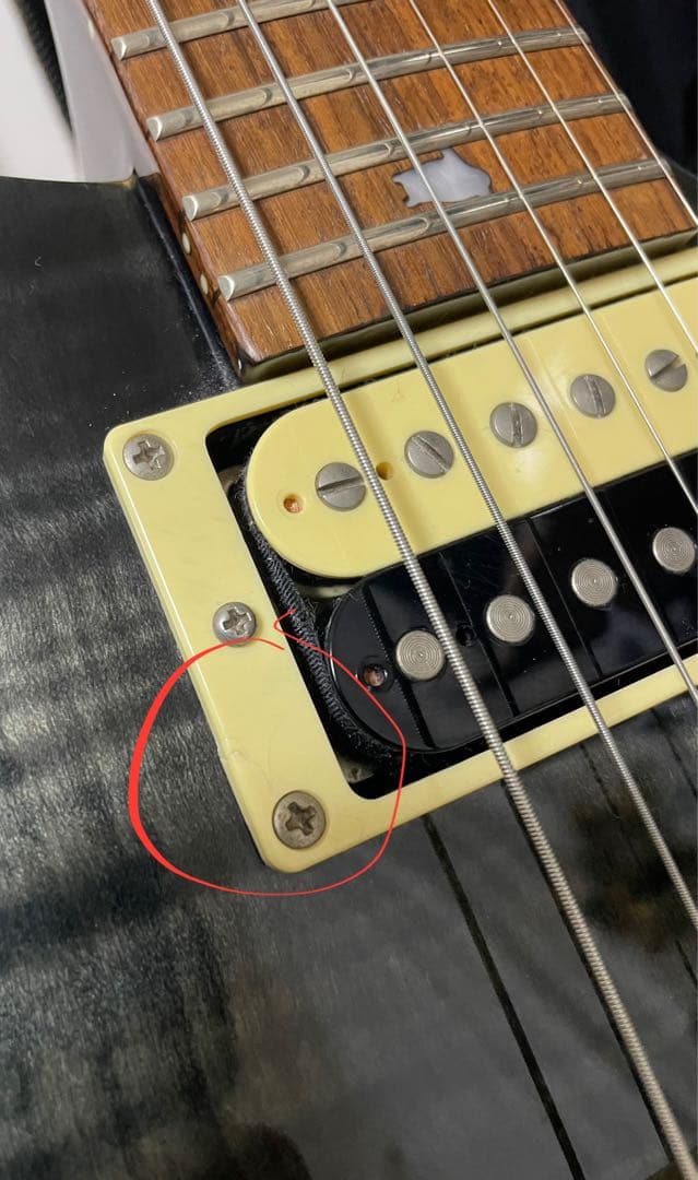 ギター PRS SE CUSTOM 24