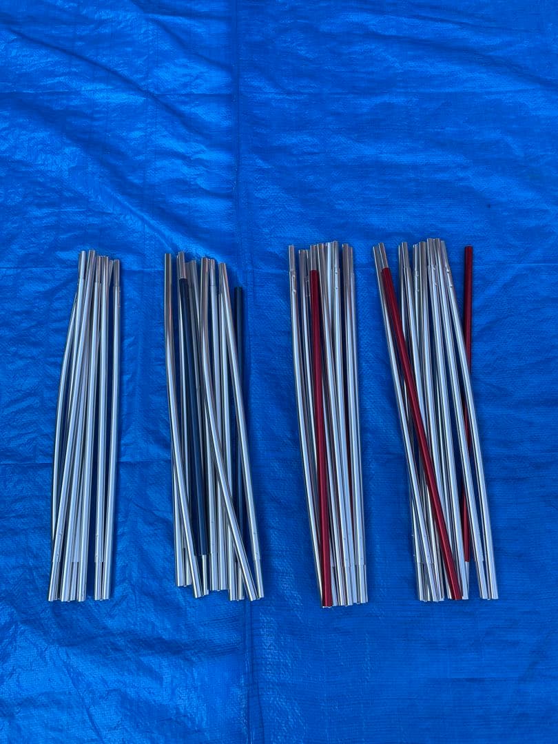 【美品】スノーピーク 60周年記念 アメニティドーム Pro.M SDE-110