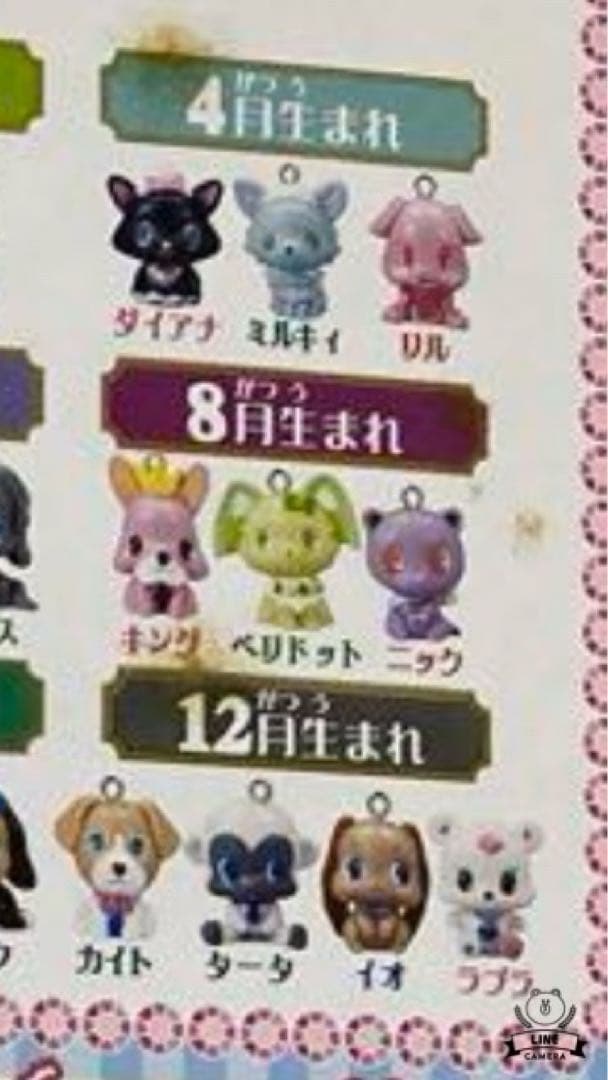 ジュエルペット　ジュエルチャーム　ジュエルボックス