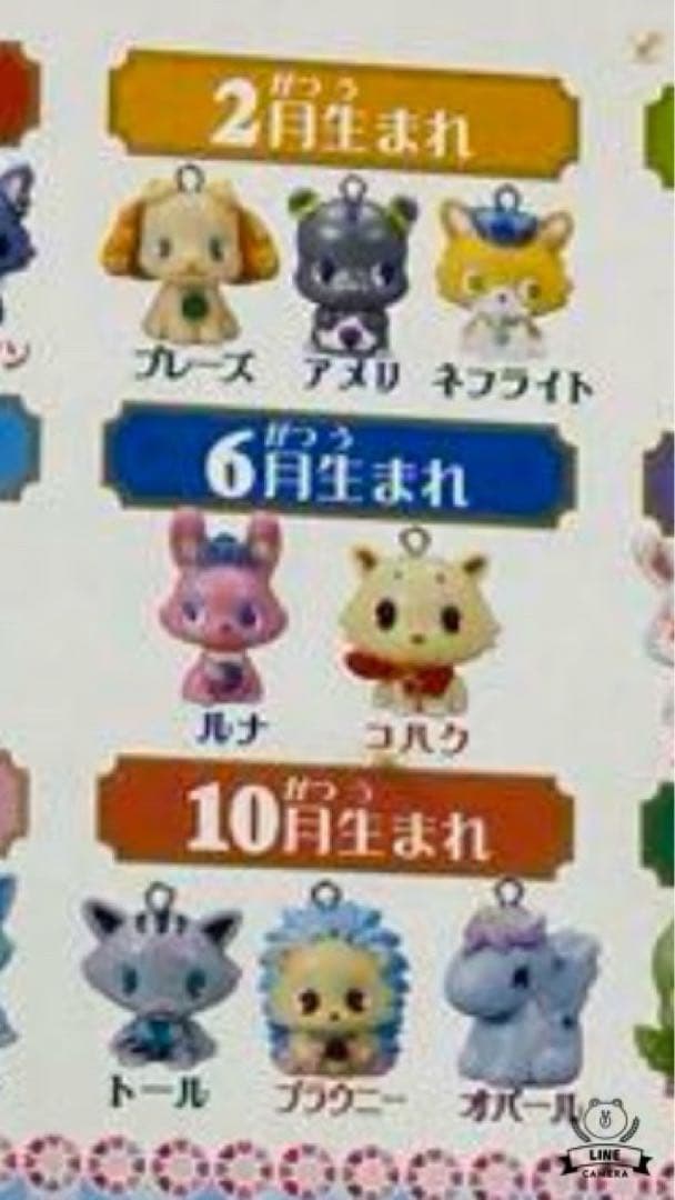 ジュエルペット　ジュエルチャーム　ジュエルボックス