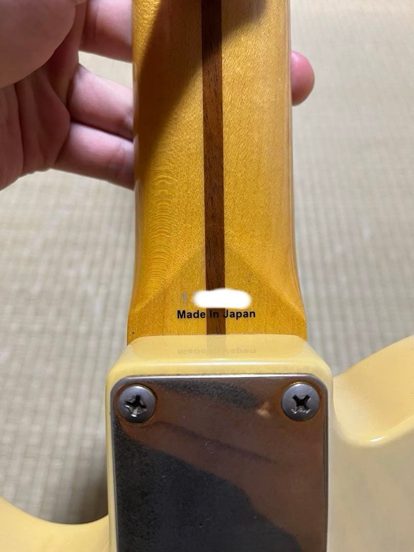 Tokai breezy sound テレキャスター　型番不明