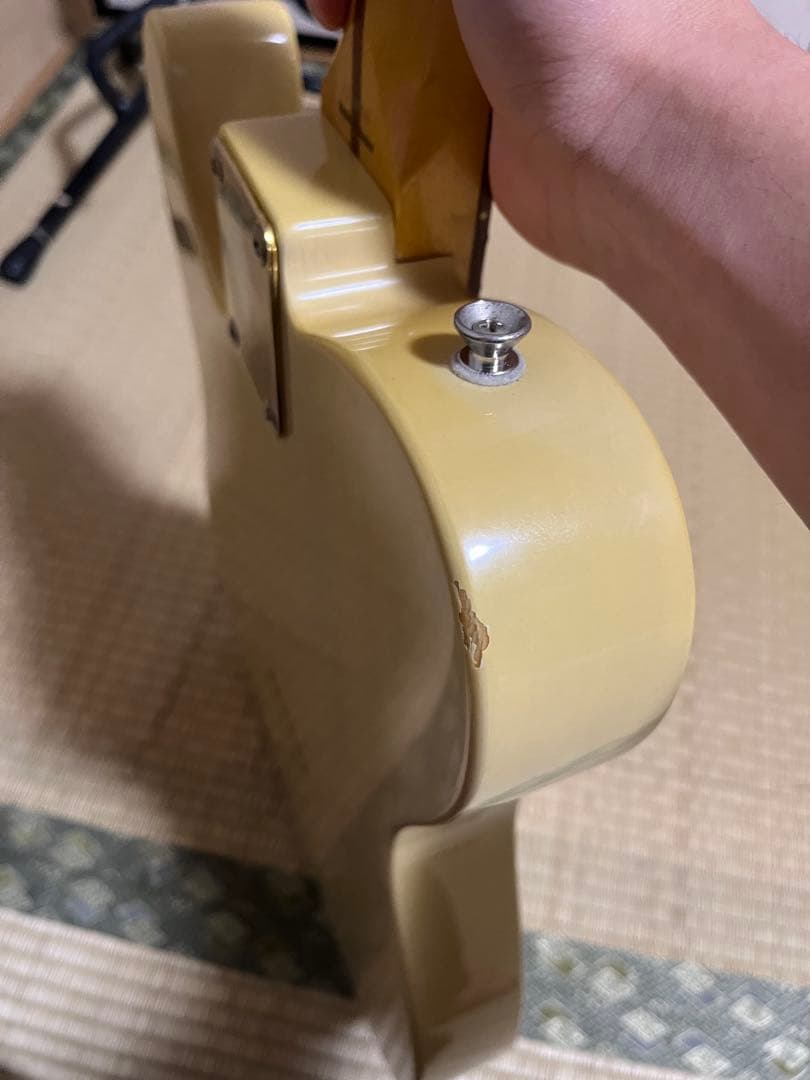 Tokai breezy sound テレキャスター　型番不明