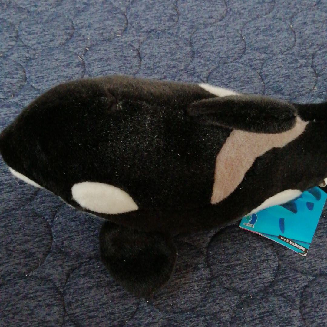シャチのぬいぐるみ